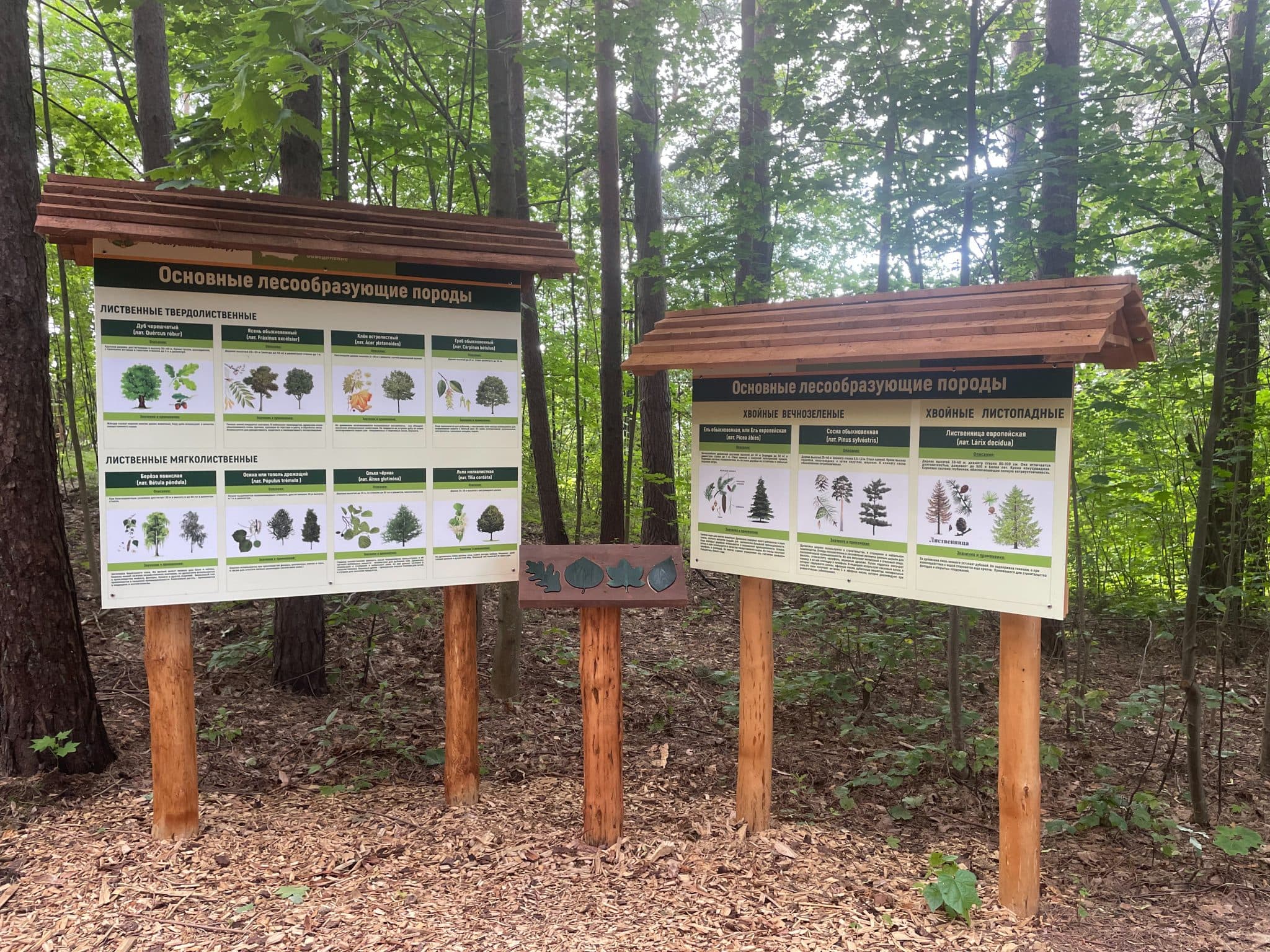 Zaslavl. Ecotrope "Secrets of the forest".