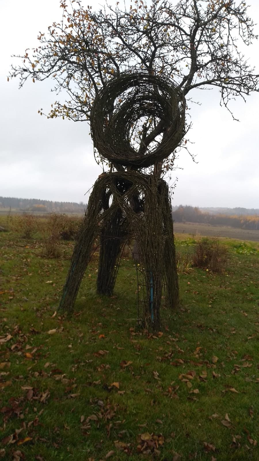 Арт-парк Манылы Холм.