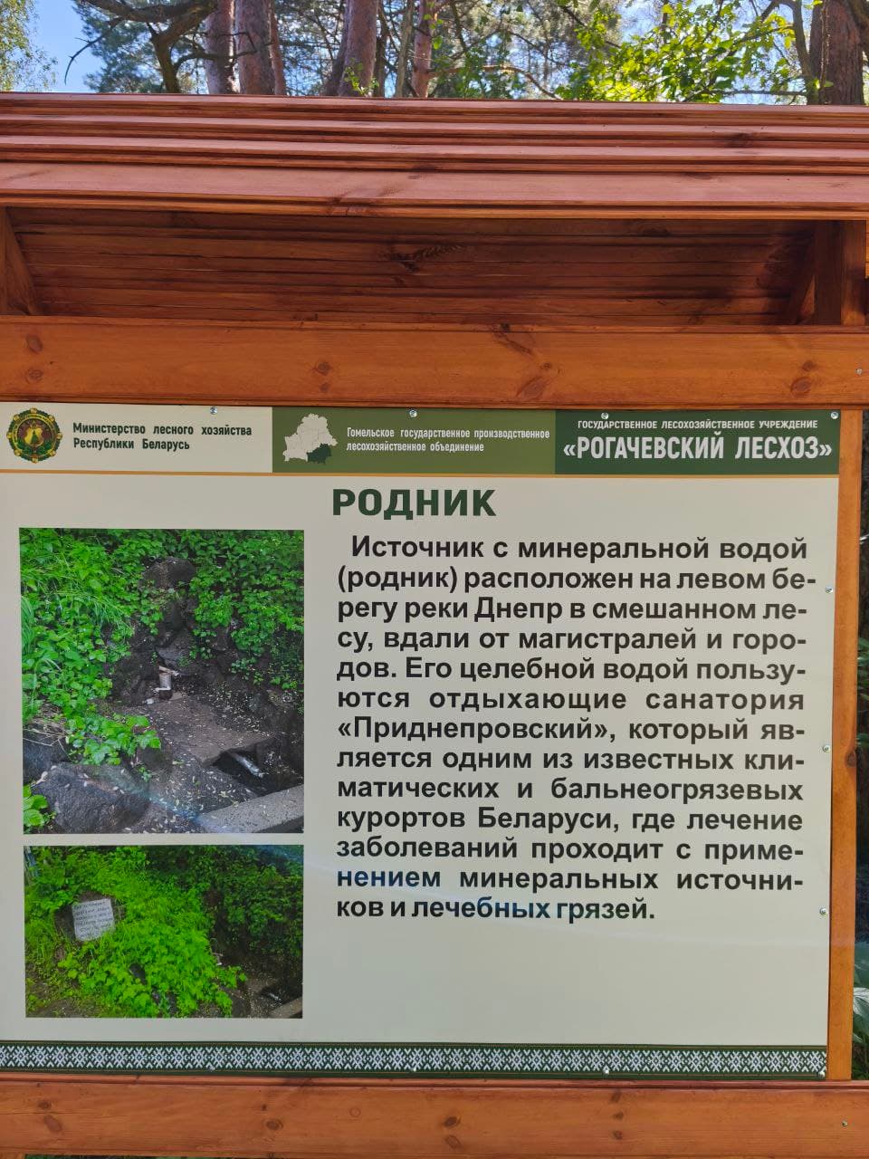 Приднепровский. Экотропа «Приднепровская». Святой родник.