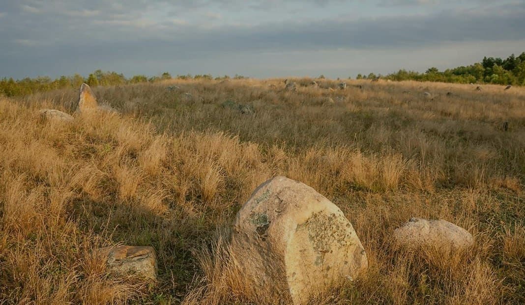 Мальковичи. Курганный могильник.