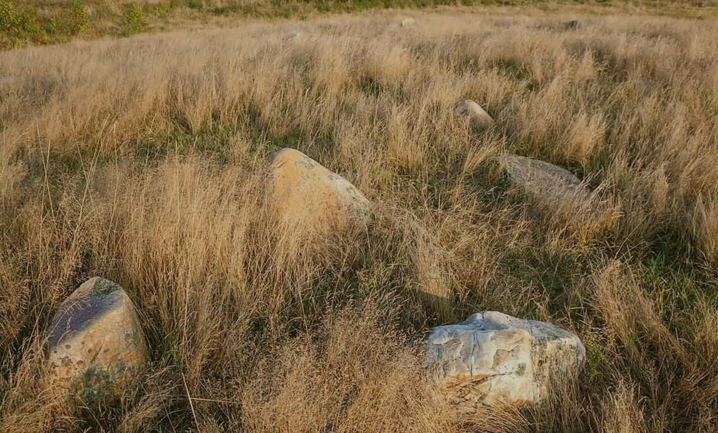 Мальковичи. Курганный могильник.