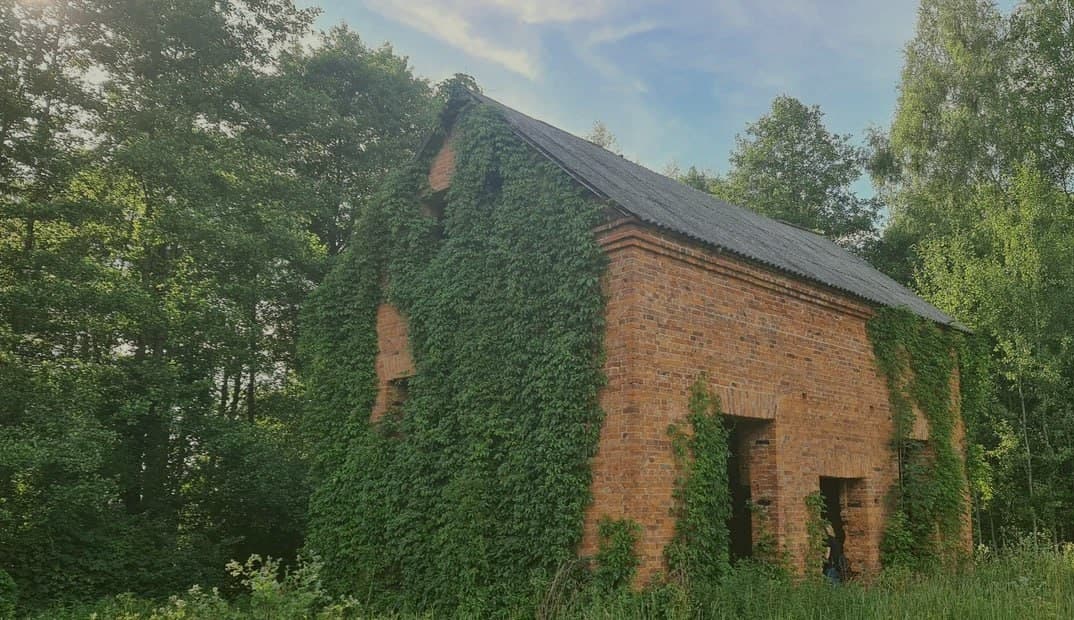 Vaskovichi. The ruins of the mill.