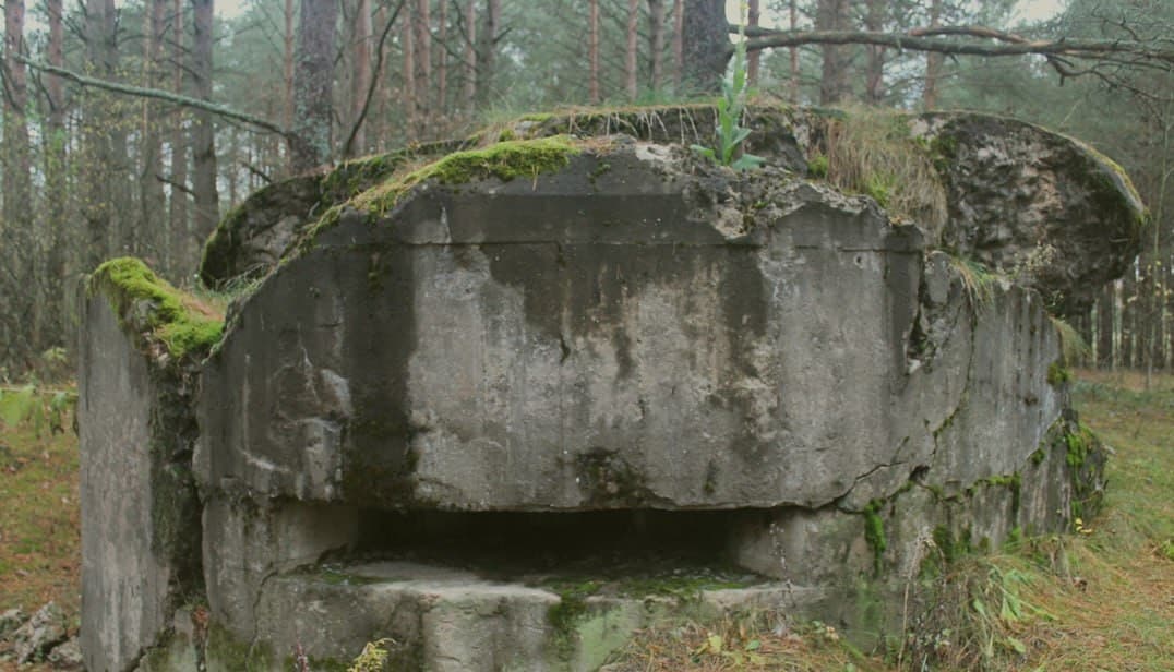 Староселье. ДОТ-405.