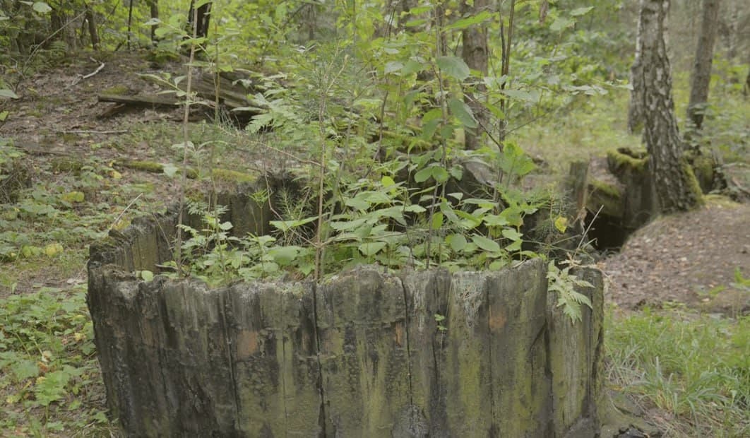 Shimki. Remnants of an old tar factory.