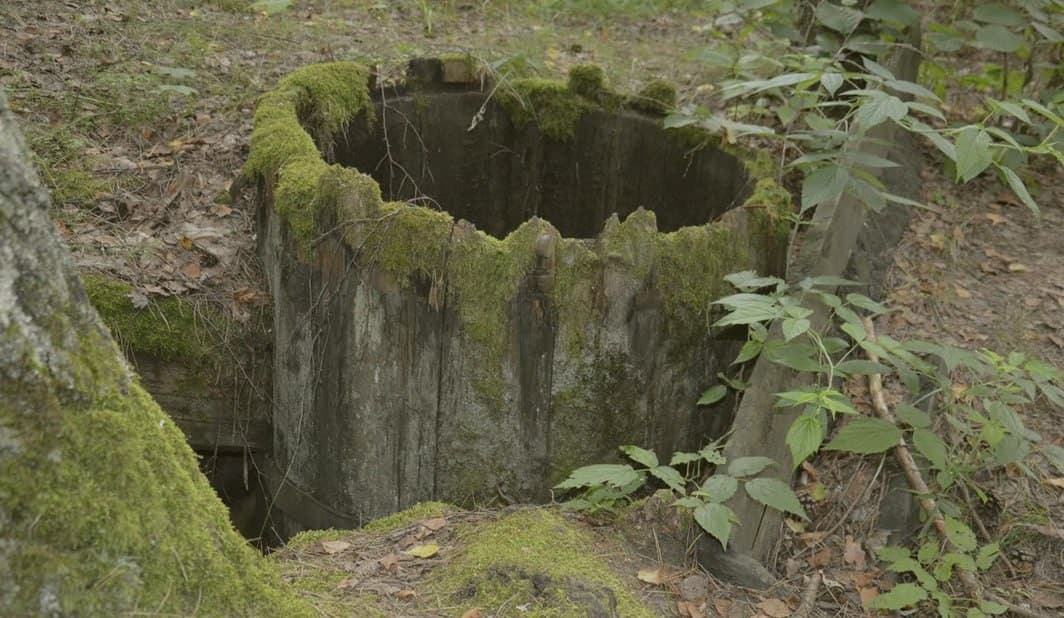 Shimki. Remnants of an old tar factory.