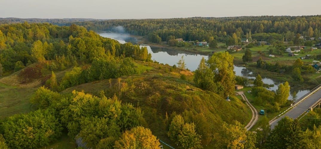 Вороничи. Замчище.