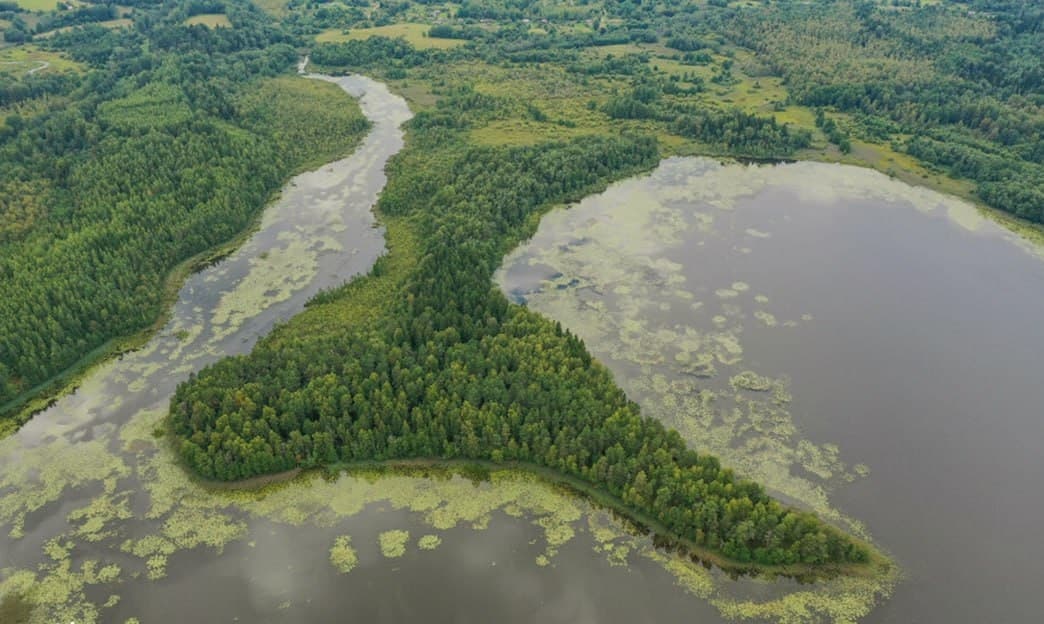 Возера Межава. "Шавецкі" востраў.