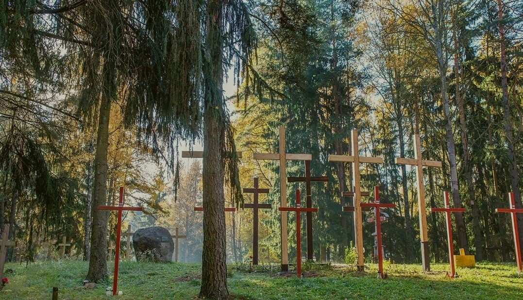 Minsk. Kuropaty tract.