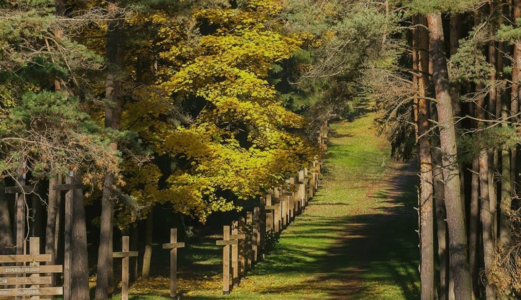 Minsk. Kuropaty tract.