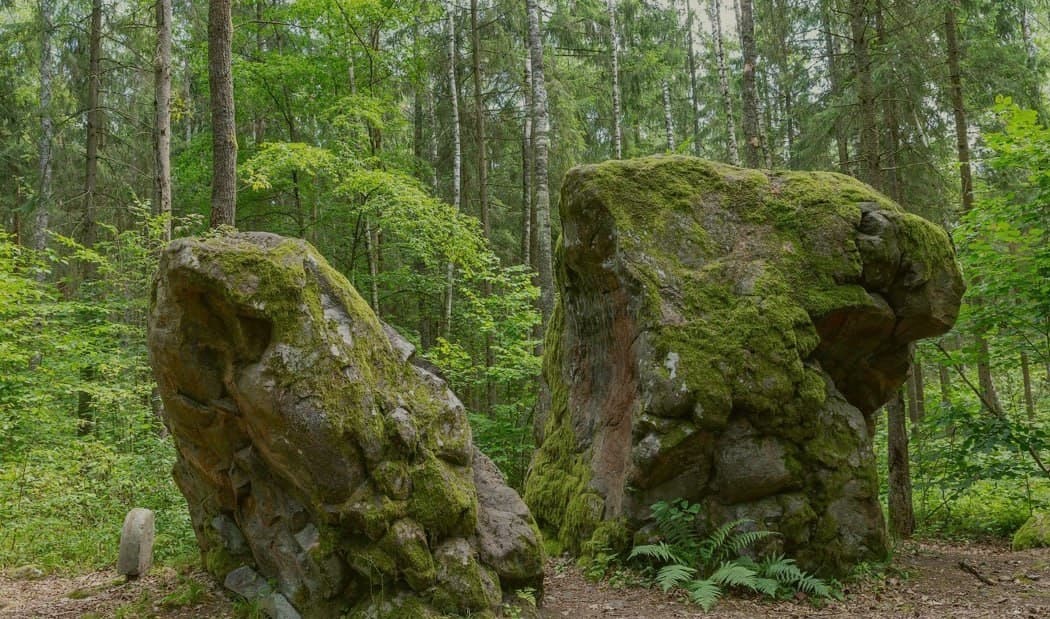 Альбертинский валун.