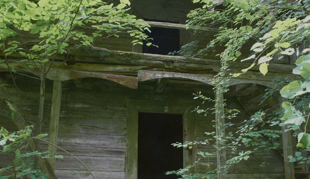 Kushlyany. The remains of the Yasevich estate.