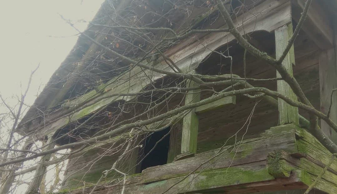 Kushlyany. The remains of the Yasevich estate.