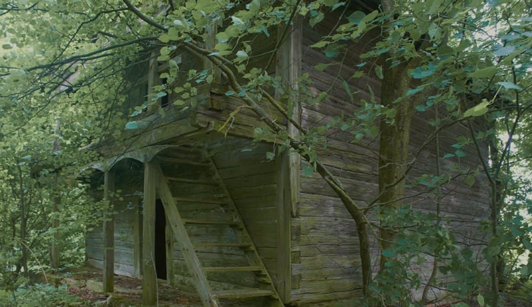 Kushlyany. The remains of the Yasevich estate.