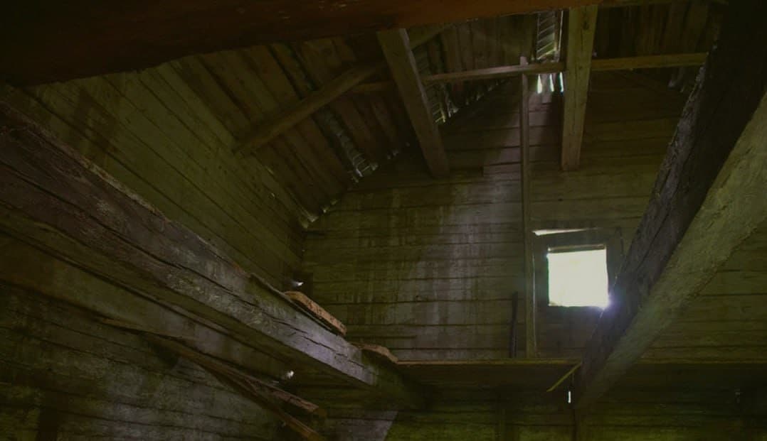 Kushlyany. The remains of the Yasevich estate.