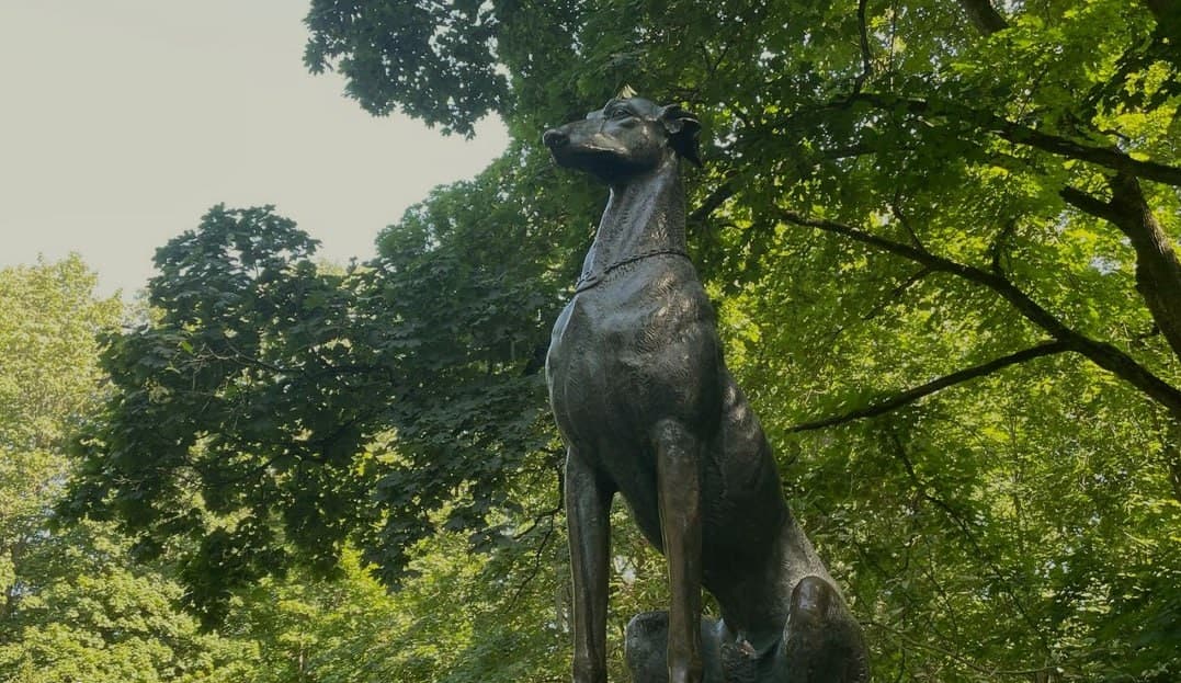Nesvizh. Monument to the dog in the Old Park.