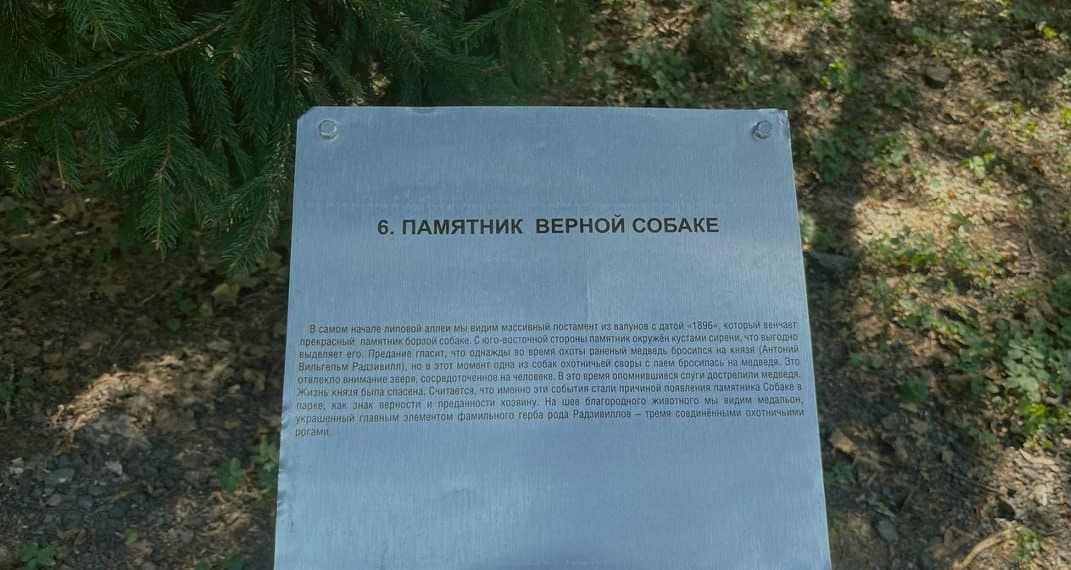 Nesvizh. Monument to the dog in the Old Park.