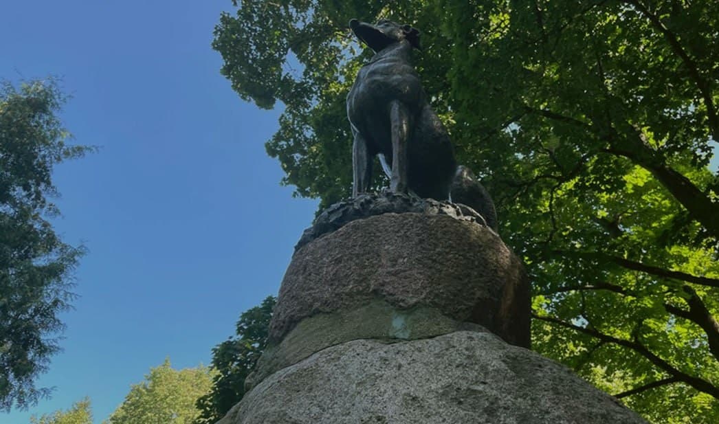Nesvizh. Monument to the dog in the Old Park.