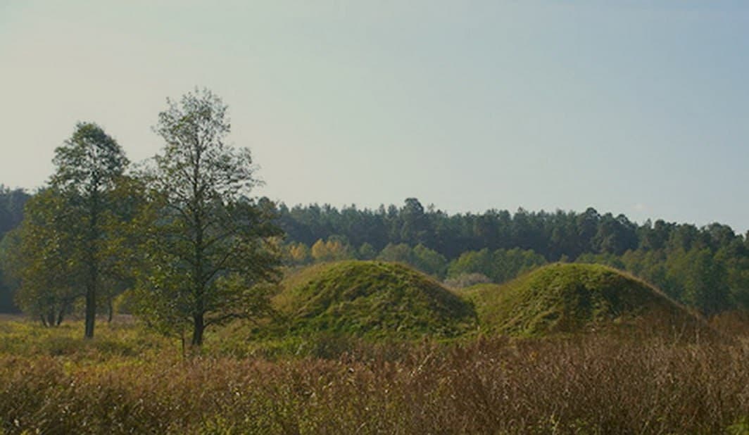 Раков. Городище.