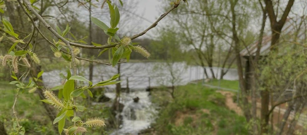 Водяная мельница на реке Сервечь.