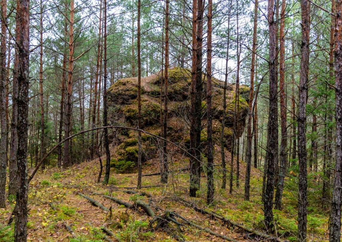 Bolshye Tupoly. Smolchitsky conglomerates.