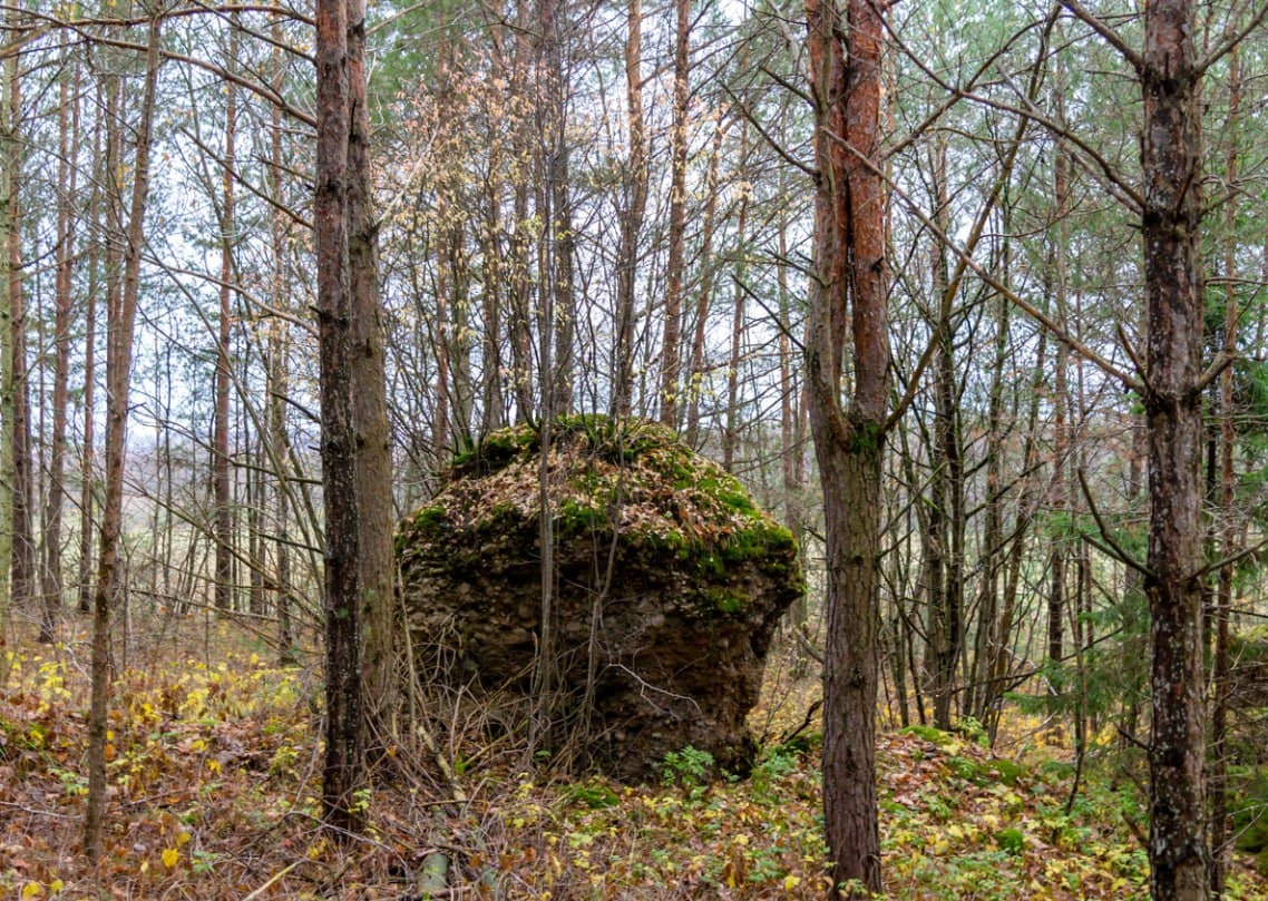 Bolshye Tupoly. Smolchitsky conglomerates.