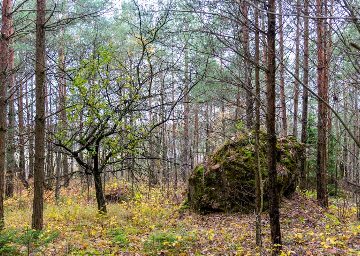 Bolshye Tupoly. Smolchitsky conglomerates.