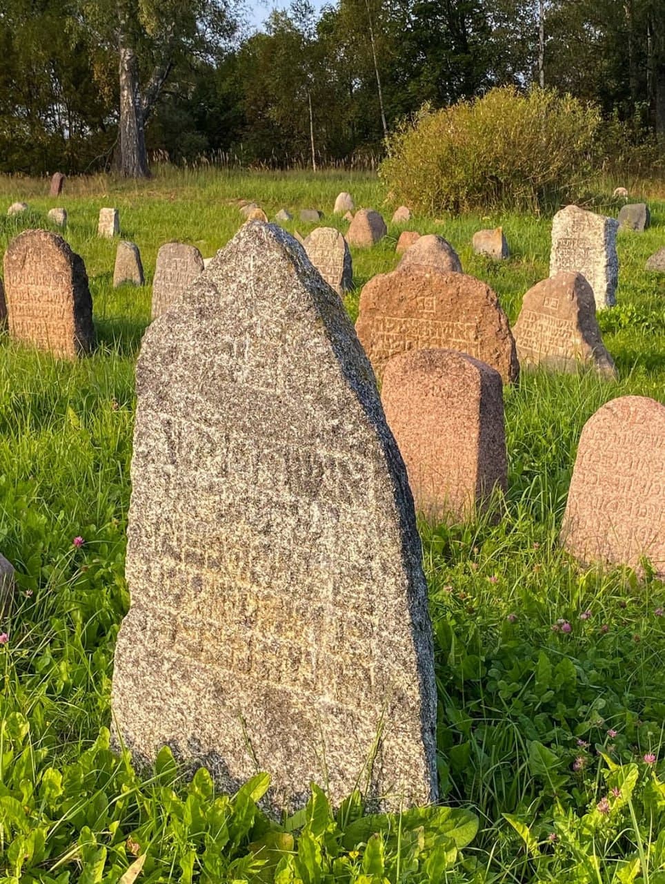 Kolyshki. An ancient Jewish cemetery.