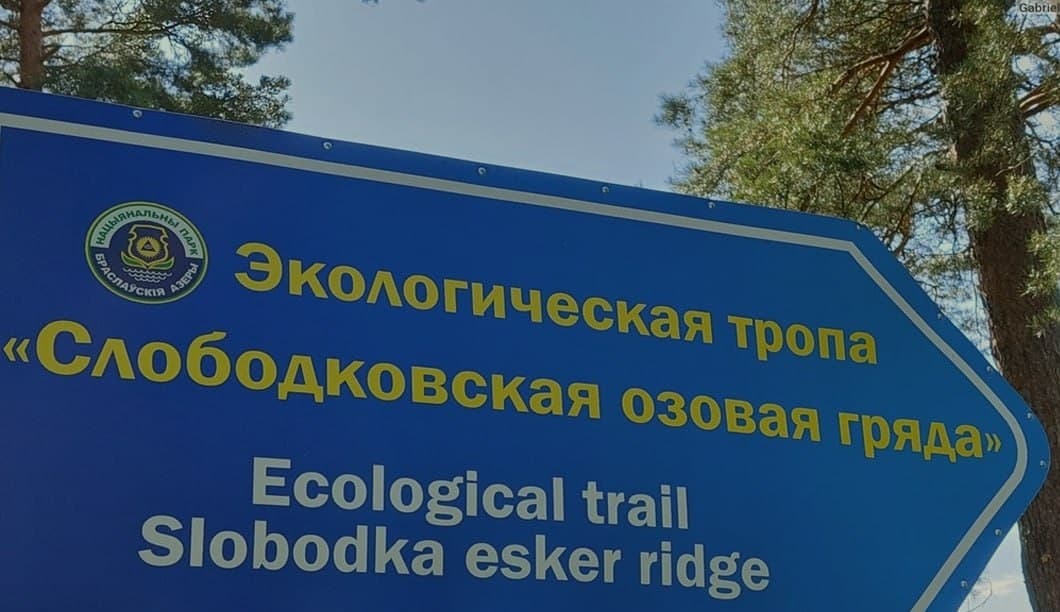 Slobodkovskaya ozovaya ridge. Ecological trail.