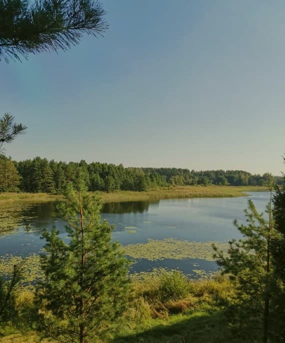 Slobodkovskaya ozovaya ridge. Ecological trail.