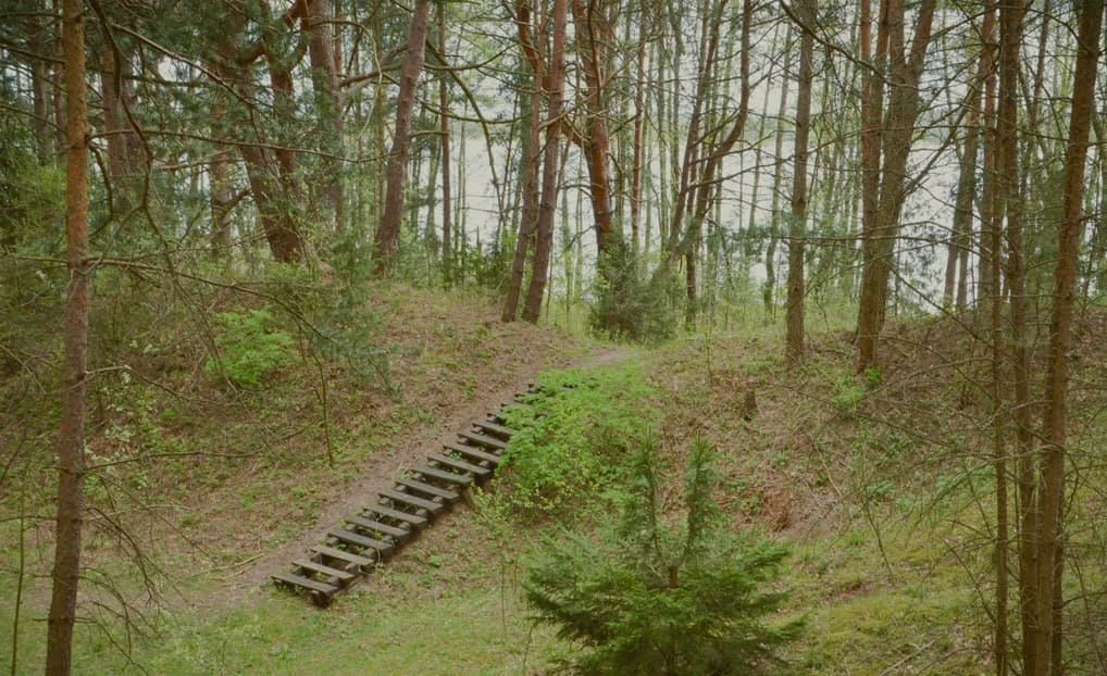 Slobodkovskaya ozovaya ridge. Ecological trail.