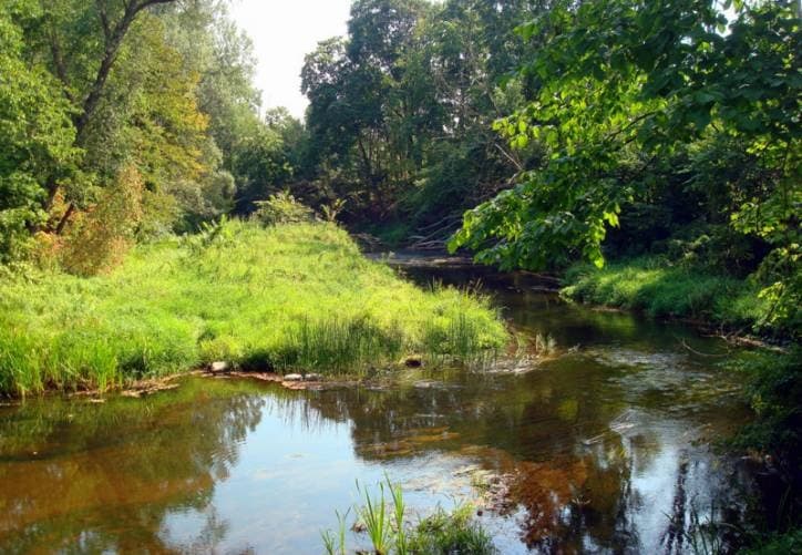 Sarya. Manor park of the first half of the 19th century.