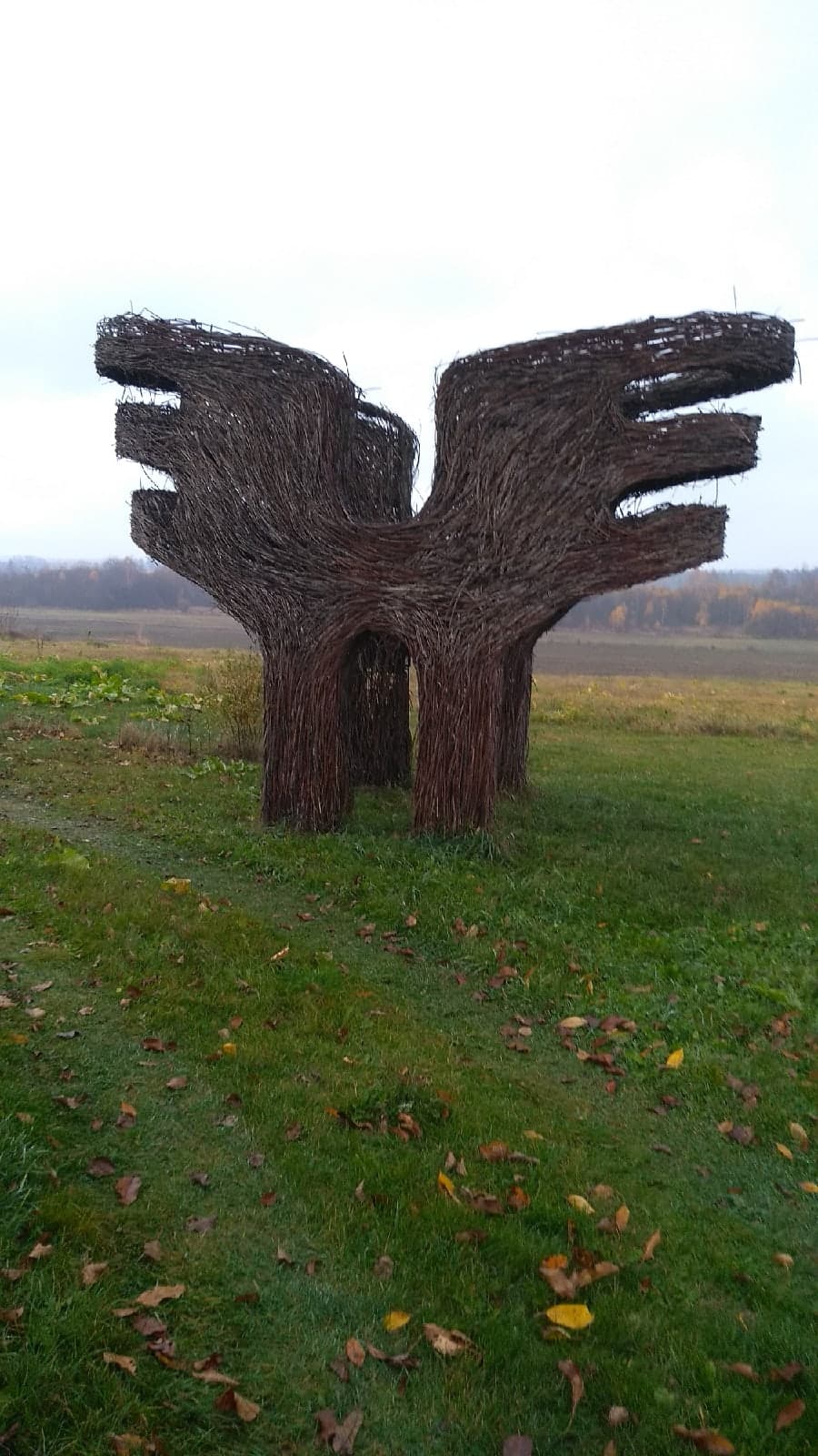 Арт-парк Манылы Холм.