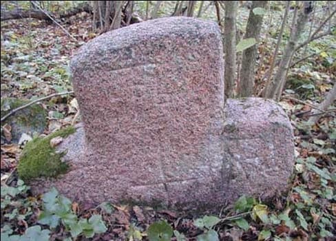 Вороничи. Замчище.