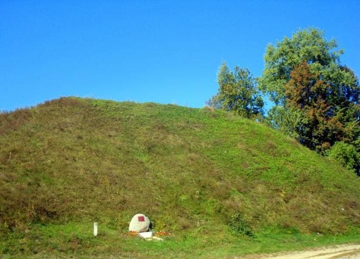 Вороничи. Замчище.