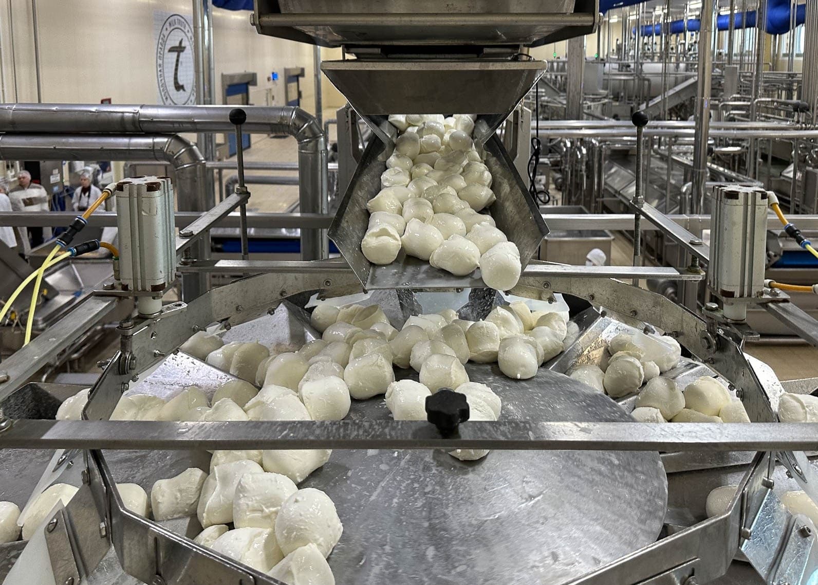 Туров. Экскурсия на молочный комбинат Bonfesto.