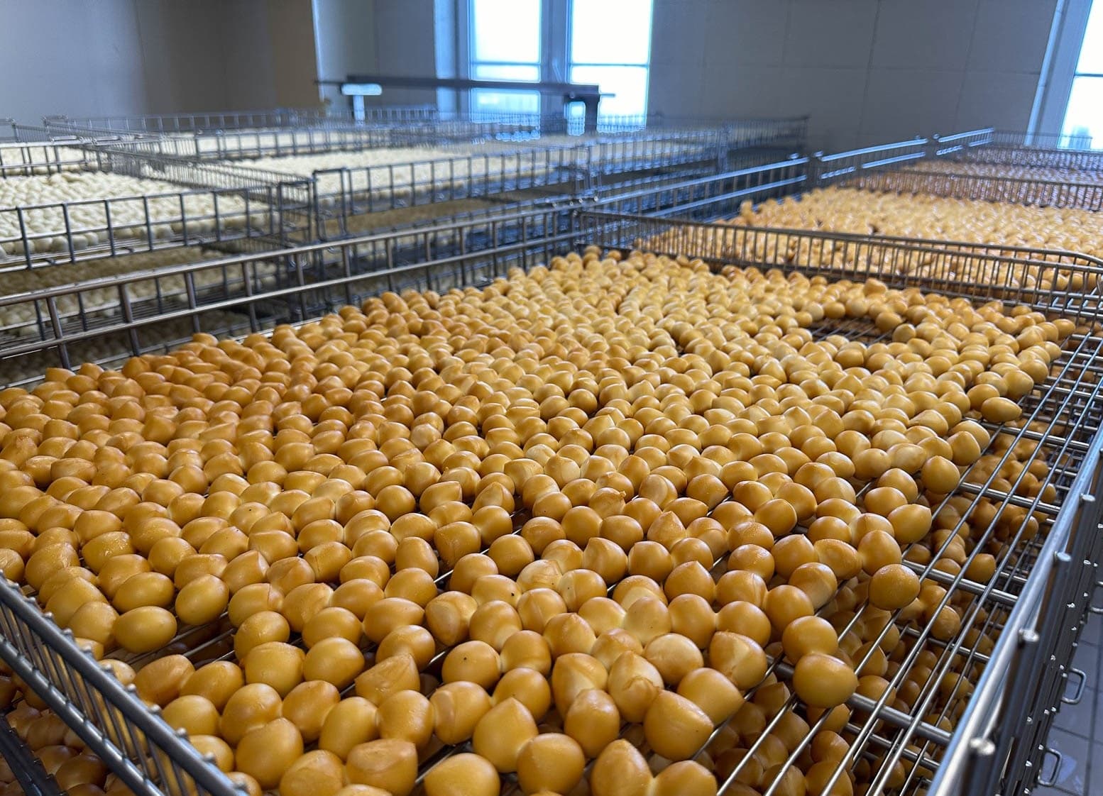 Туров. Экскурсия на молочный комбинат Bonfesto.