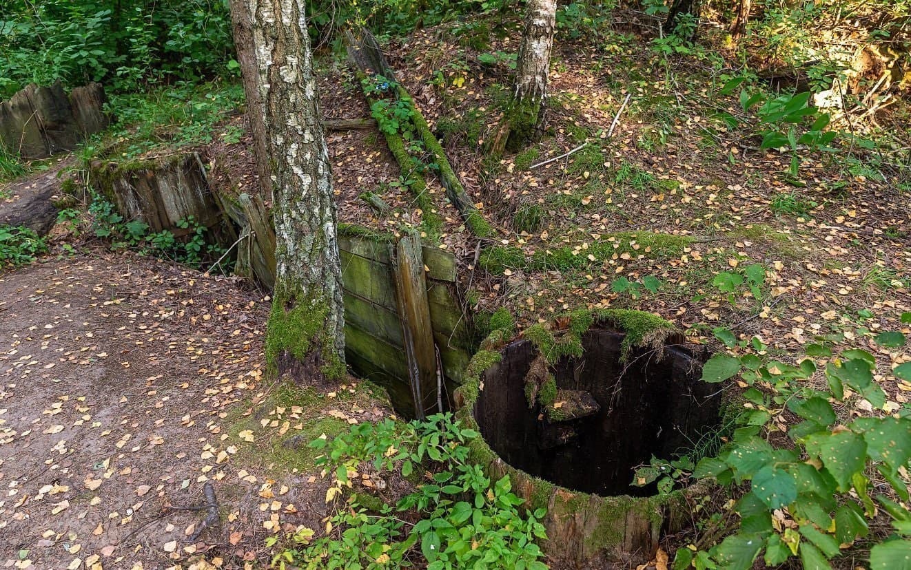 Shimki. Remnants of an old tar factory.